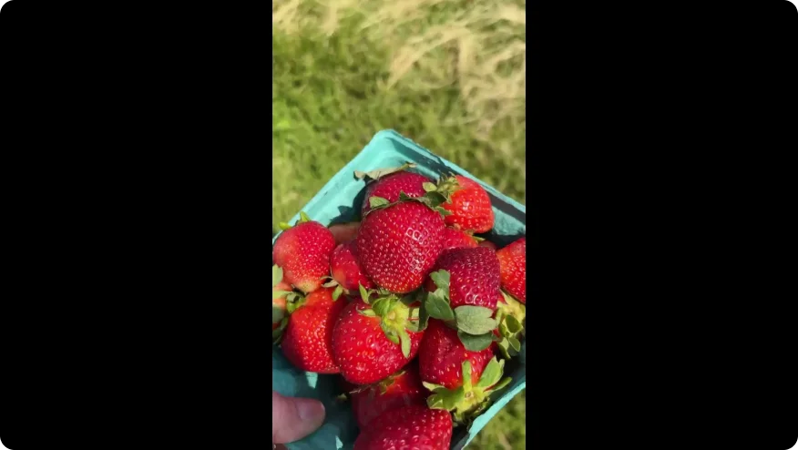 Una miniatura de video sobre la rutina de cuidado de la piel periestomal de Meghan en los húmedos meses de verano.